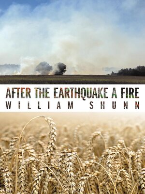 cover image of After the Earthquake a Fire